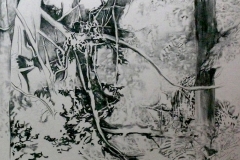 Rapture-foret-17